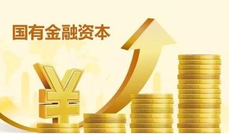 资本与资产的区别及其在投资管理中的意义