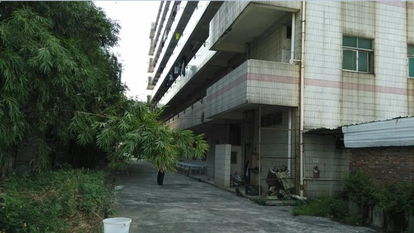 东莞市北栅西坊路厂舍A0001资产投资咨询分析